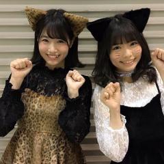 引用 💕