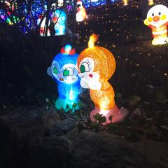 まいみい