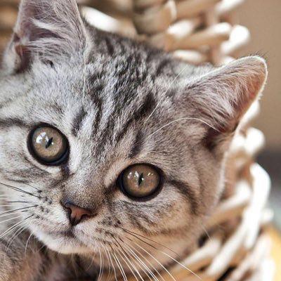 ともやのトーク