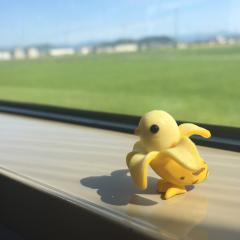 ぺがさす