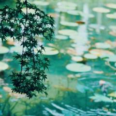 ゆーりのトーク