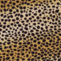 Kouhei๑のトーク