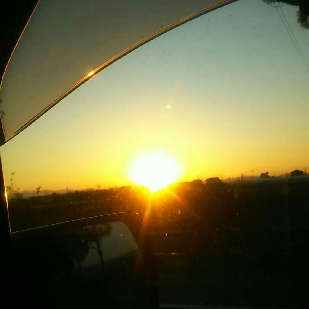 癒されたい(。>д<)