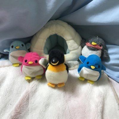 ペンギン⊿齋藤飛鳥推し!