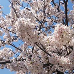 shimasaku12のトーク