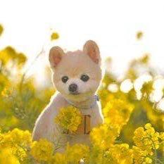 みぃしばのトーク