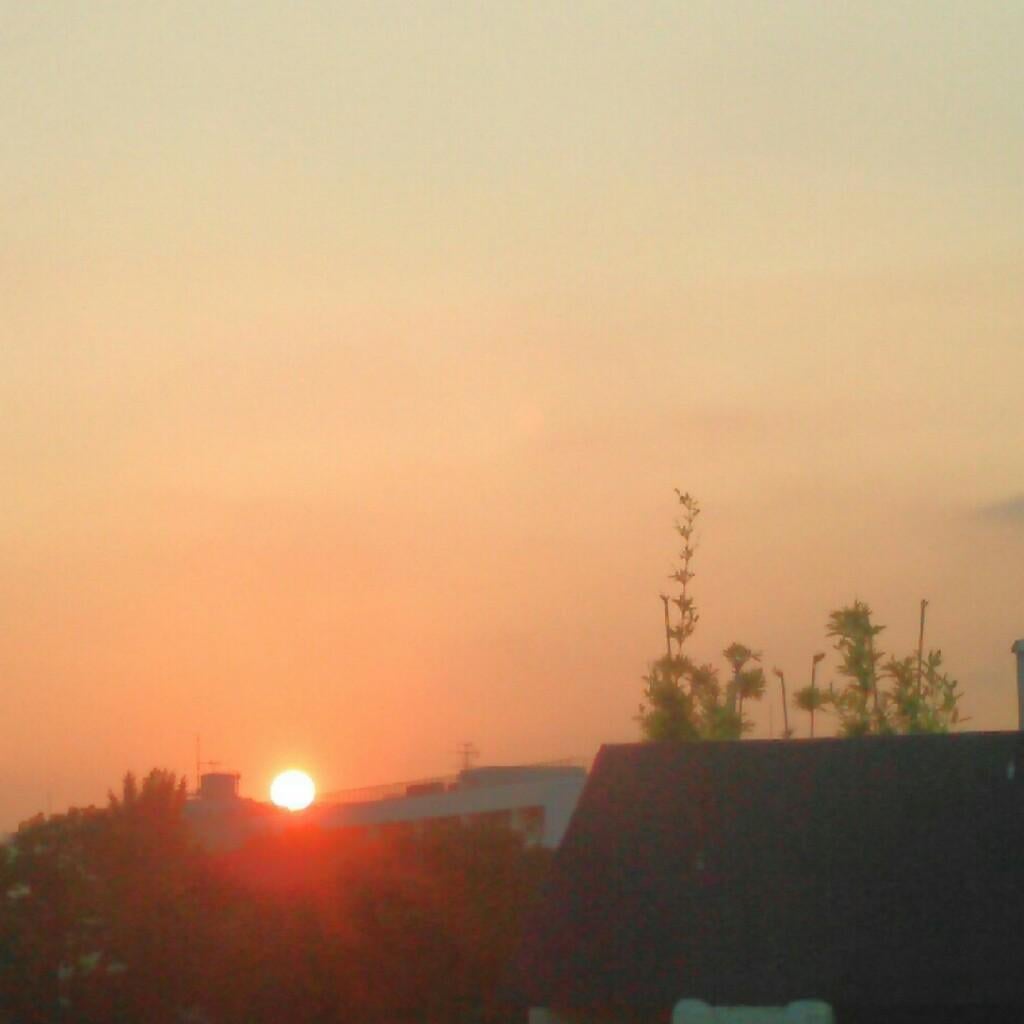 孫たまごのトーク