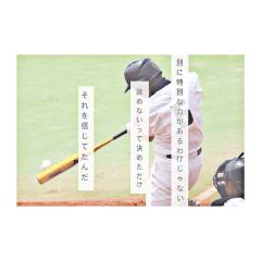 dolphin⊿