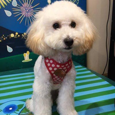 ひろき あしゅラブのトーク