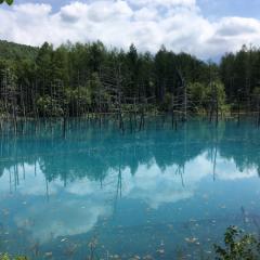 てるみんのトーク