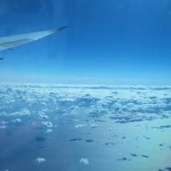 こんたか