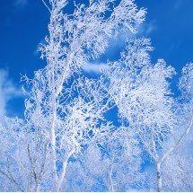 ʕ⁎̯͡⁎ʔ༄のトーク