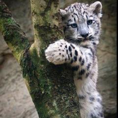 挨拶から始めよう♪