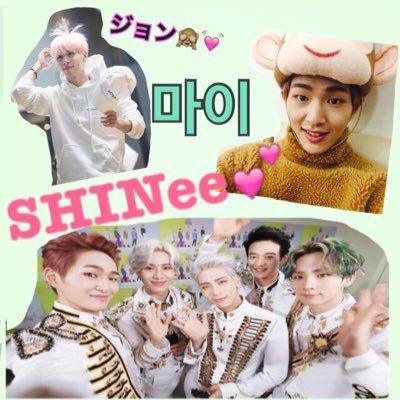마이  🐶