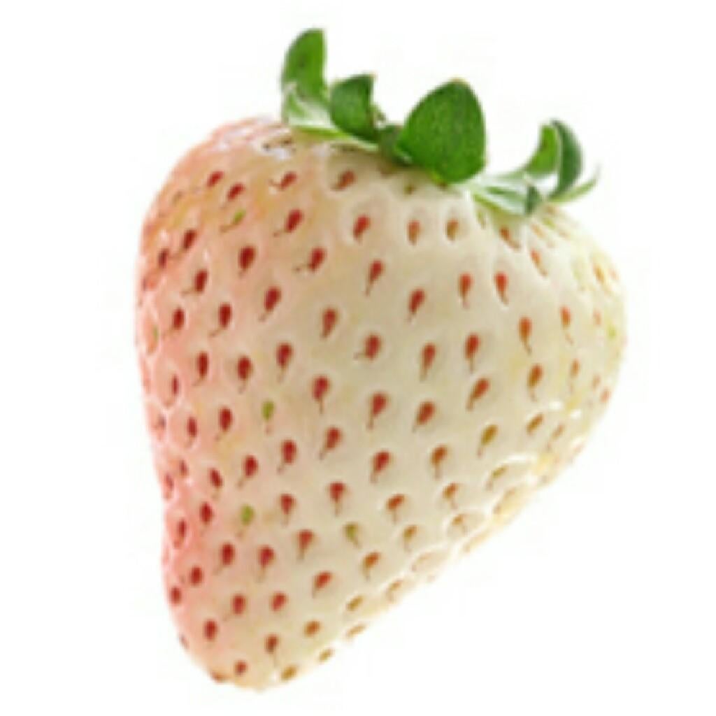 リトーク部屋、二年目