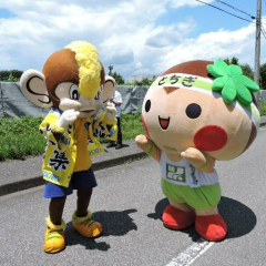 ユナイテッド