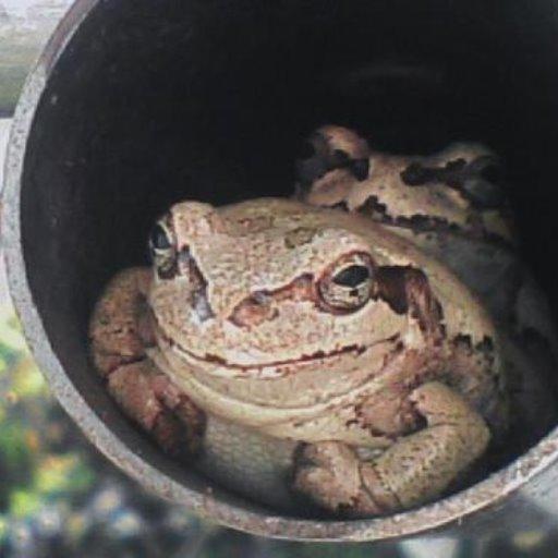 おのっち＠チーム8大好きちょい悪おやじ♬