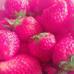 白玉くん◢ ￨⁴⁶🐟🍪のトーク