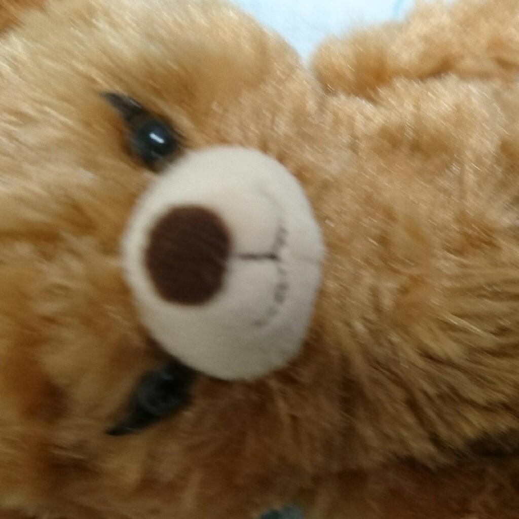 こんちゃん
