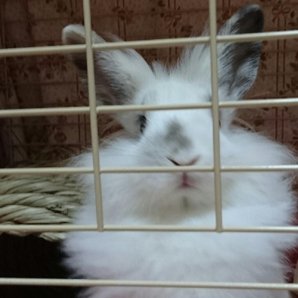 あつしのトーク