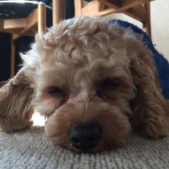 みずきですか？いや、瑞秀です！