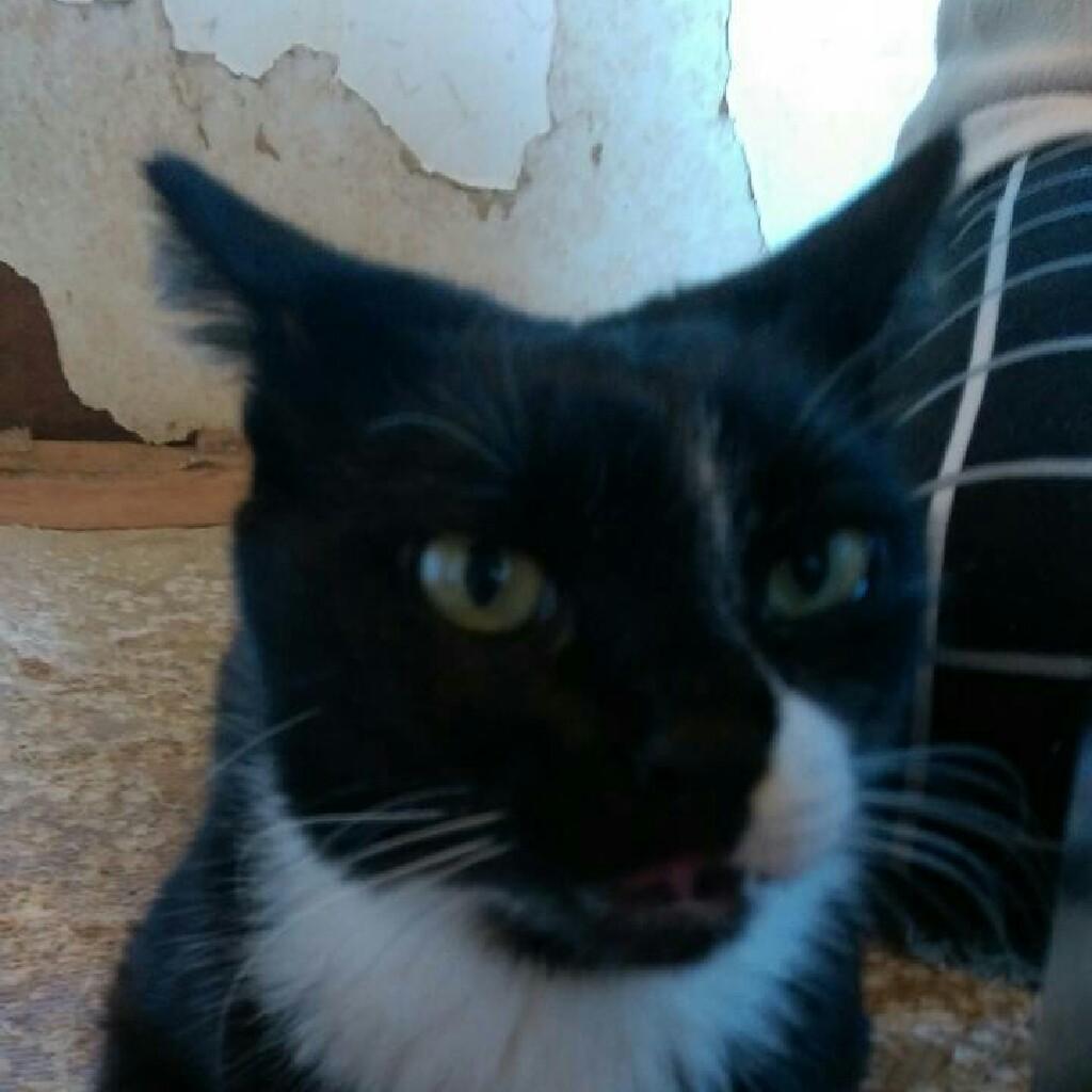 YUKI