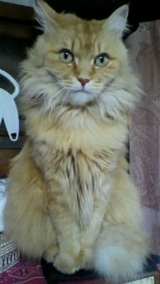 マルサン @女優兒玉遥さんを応援してます！のトーク