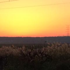 カズーのトーク