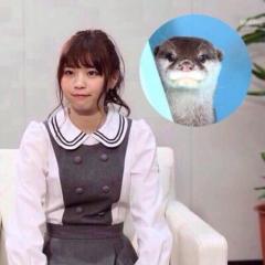 ダイキのトーク