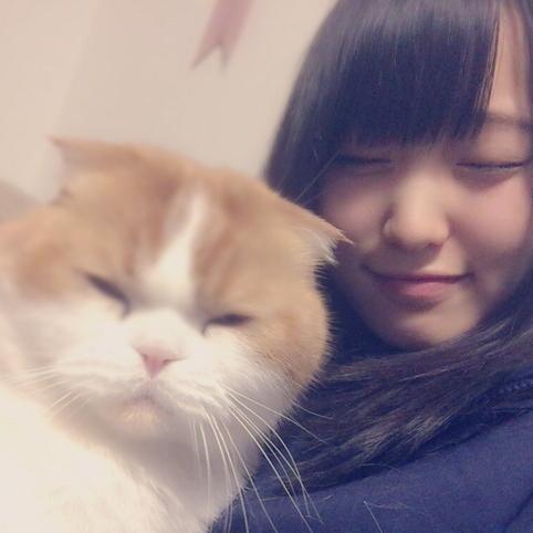 ぽん⊿