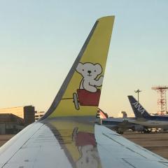 にゃん🗻