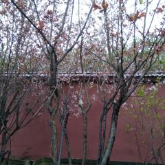 春日迟迟，你我不负春光怡然。