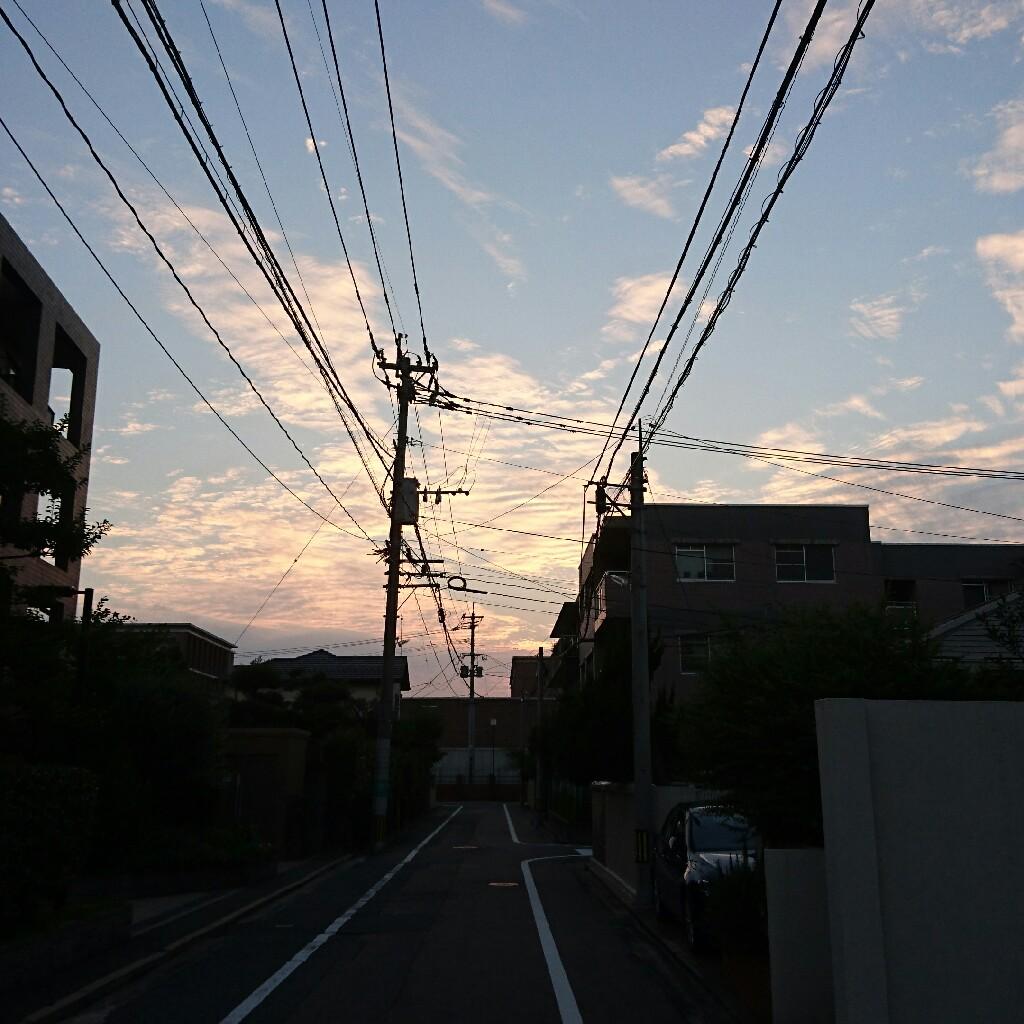 ヨネ