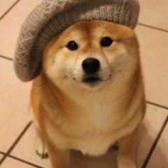 meちゃん