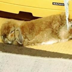 りょーが⊿