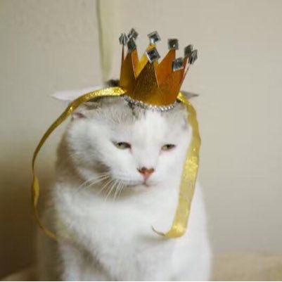 綉眼