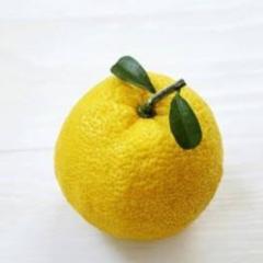 松本雄大