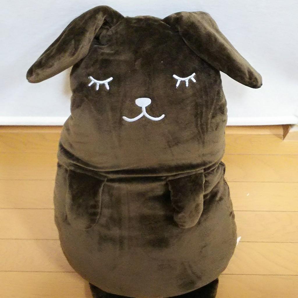 きーちゃん