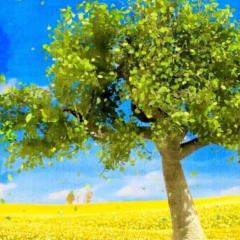 渡辺 剛のトーク