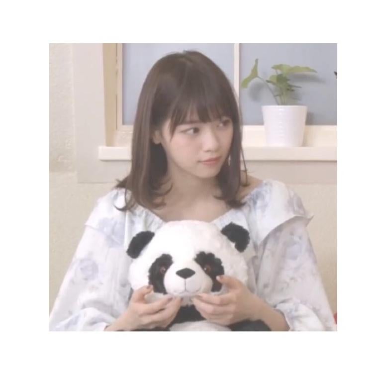 ぷ る のトーク