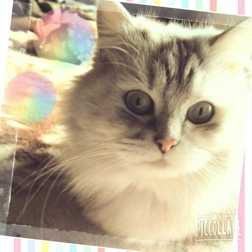 美陽*みあき*