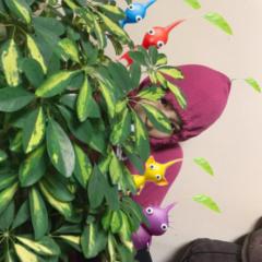 さきてぃ⋈*。゚