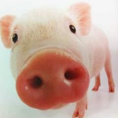 女王様と二人のトーク