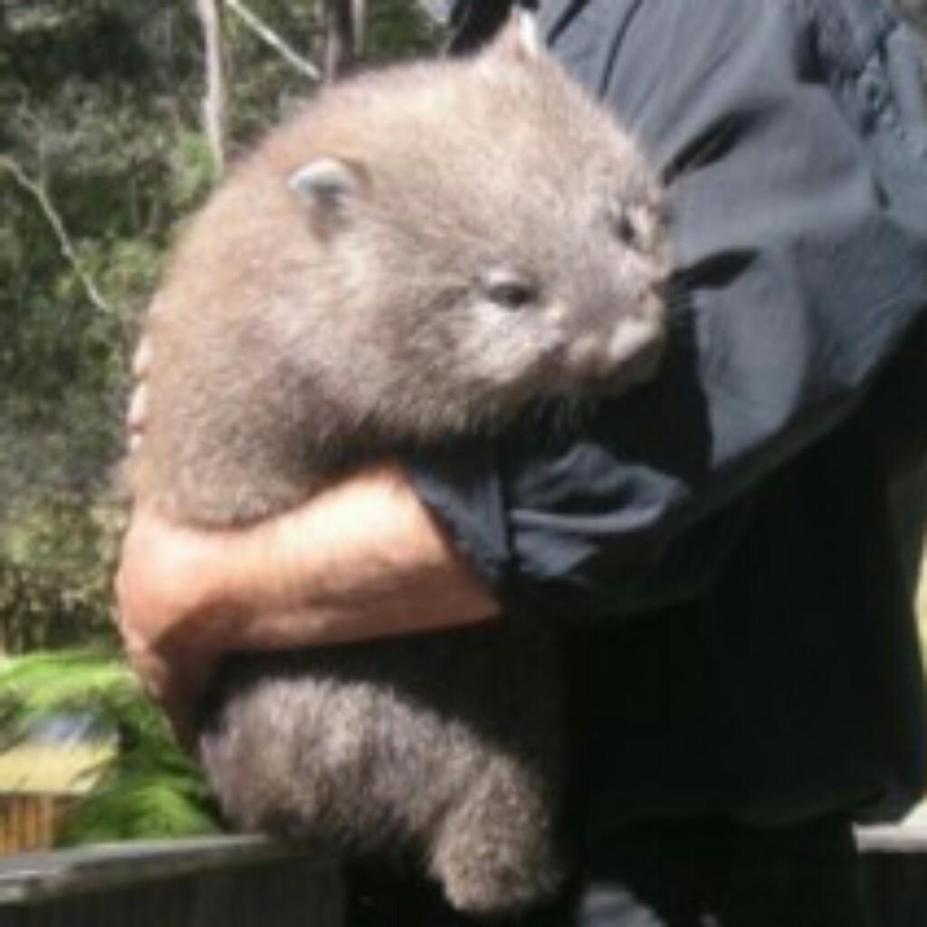 我はくそゴリラ！のトーク