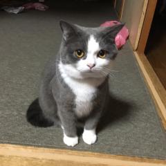 ザキお