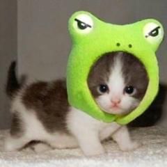 にゃすび