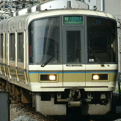 Y.Rapid