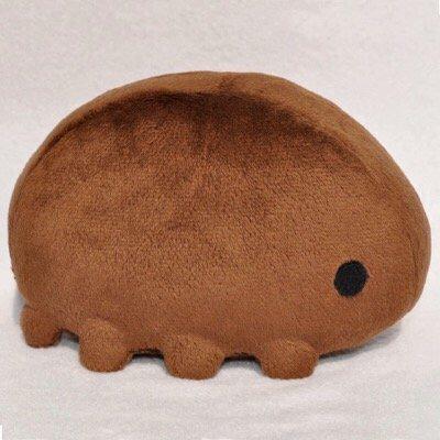 クマムシさん