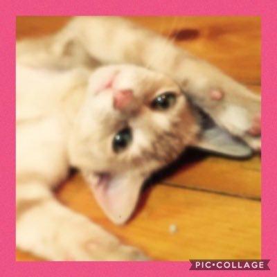 ゆ ん こ ◡̈⃝︎