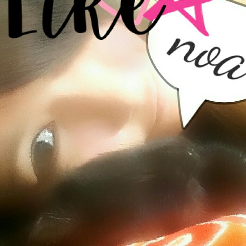 寝るまで構って=^･ω･^=